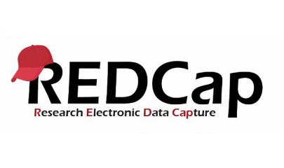 La SEN ofrece a sus miembros acceso a REDCap, una herramienta para la investigación clínica