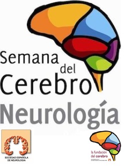 ¿Te gustaría participar como voluntario en la Semana del Cerebro?