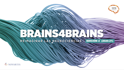 logo brains4brains