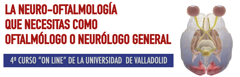 4º Curso on-line de Introducción a la NEURO-OFTALMOLOGÍA