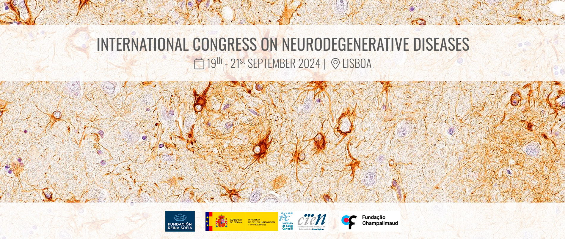 Programa INTERNATIONAL SUMMIT ON NEURODEGENERATIVE DISEASES