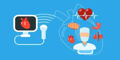Certificación en ecocardioscopia